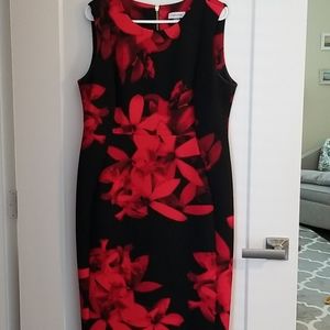 Women's Calvin Klein Dress